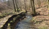 Trail Other activity Neufmanil - neufmanil bois des chênes ferres  - Photo 1