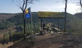 Trail Nordic walking Theux - vert buisson 12_03_2017 - Photo 6