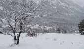 Randonnée Raquettes à neige Névache - Névache - Planplnet - Photo 2