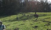 Excursión Senderismo Esneux - Esneux , le plus beau parcour de 13 km avec 2 montées accessibles  - Photo 7