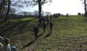 Excursión Senderismo Esneux - Esneux , le plus beau parcour de 13 km avec 2 montées accessibles  - Photo 6