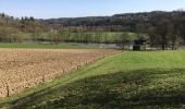 Tour Wandern Esneux - Esneux , le plus beau parcour de 13 km avec 2 montées accessibles  - Photo 4