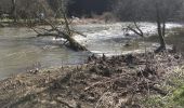 Percorso Marcia Esneux - Esneux , le plus beau parcour de 13 km avec 2 montées accessibles  - Photo 2