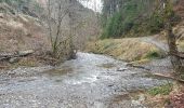 Randonnée Marche Malmedy - Ruisseau du Pouhon-Cascade du Bayehon - Photo 8