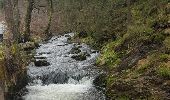 Randonnée Marche Malmedy - Ruisseau du Pouhon-Cascade du Bayehon - Photo 5