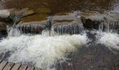 Trail Walking Malmedy - Ruisseau du Pouhon-Cascade du Bayehon - Photo 4