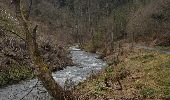 Trail Walking Malmedy - Ruisseau du Pouhon-Cascade du Bayehon - Photo 7