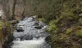 Tocht Stappen Malmedy - Ruisseau du Pouhon-Cascade du Bayehon - Photo 5