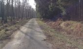 Percorso Marcia Eupen - Hertogenwald 18,3 km (sans barrage) - Photo 1