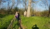 Trail Walking Blagnac - Blagnac, le long de la Garonne  - Photo 5