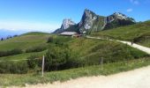 Trail Walking Talloires-Montmin - col de l aulp rocher de l ancrenaz - Photo 7