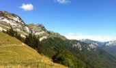 Trail Walking Talloires-Montmin - col de l aulp rocher de l ancrenaz - Photo 3