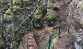 Trail Walking Lutzelbourg - lutzelbourg sentier des roches - Photo 15