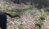 Trail Walking Haegen - wasserwald vestiges gallo-romain - Photo 13