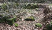 Trail Walking Haegen - wasserwald vestiges gallo-romain - Photo 9