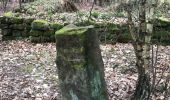 Tocht Stappen Haegen - wasserwald vestiges gallo-romain - Photo 8