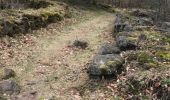 Trail Walking Haegen - wasserwald vestiges gallo-romain - Photo 6