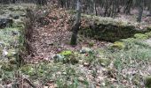 Trail Walking Haegen - wasserwald vestiges gallo-romain - Photo 5