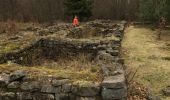 Trail Walking Haegen - wasserwald vestiges gallo-romain - Photo 3