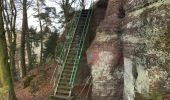 Trail Walking Lutzelbourg - Chateau de lutzelbourg rochers du moulin - Photo 9