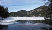 Randonnée Raquettes à neige La Llagonne - Avallan, étang nègre, Bouillouse, refuge et retour - Photo 5