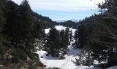 Randonnée Raquettes à neige La Llagonne - Avallan, étang nègre, Bouillouse, refuge et retour - Photo 3