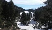 Tour Schneeschuhwandern La Llagonne - Avallan, étang nègre, Bouillouse, refuge et retour - Photo 3