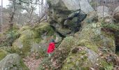 Trail Walking Fontainebleau - GLM-170320 - CroixAugas-MontUssy - Photo 2