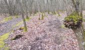 Trail Walking Le Tremblay-sur-Mauldre - rando du 23/03/2017 - Photo 8