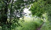 Tocht Stappen Saint-Hubert - FOUR.St-MICHEL (Queue du Chat) - Photo 2