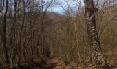 Trail Walking Andlau - 2017-03-23 Andlau Cratz Ste Richarde - Photo 5