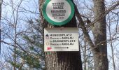 Tour Wandern Andlau - 2017-03-23 Andlau Cratz Ste Richarde - Photo 6