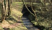 Tour Wandern Sankt Ludwig bei Pfalzburg - rocher du calice chemin des éclusiers  - Photo 2