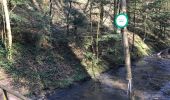 Tour Wandern Sankt Ludwig bei Pfalzburg - rocher du calice chemin des éclusiers  - Photo 1