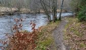 Trail Walking Bugeat - balade dans le bois de Chaleix  - Photo 3