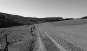 Tocht Stappen Vaux-sur-Sûre - promenade des hiboux - Photo 1