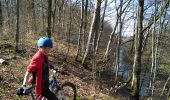 Trail Mountain bike Vathiménil - vtt Vathi Fraimbois 25-03-17 - Photo 10