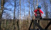 Tocht Mountainbike Vathiménil - vtt Vathi Fraimbois 25-03-17 - Photo 8