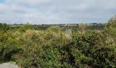 Tocht Stappen Leucate - sur les hauteurs de leucate - Photo 5