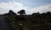 Tour Wandern Leucate - sur les hauteurs de leucate - Photo 4