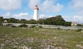 Percorso Marcia Leucate - sur les hauteurs de leucate - Photo 6