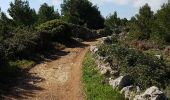 Tour Wandern Leucate - sur les hauteurs de leucate - Photo 2