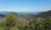 Excursión Senderismo Nans-les-Pins - Nans-l'Huveaune rando - Photo 1