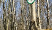 Trail Walking Ottersthal - saut du prince Charles fossé des Pandore - Photo 14