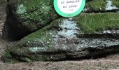 Tocht Stappen Ottersthal - saut du prince Charles fossé des Pandore - Photo 10