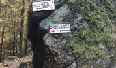 Trail Walking Ottersthal - saut du prince Charles fossé des Pandore - Photo 4