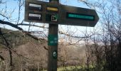 Tour Wandern Le Bessat - Croix de Chaubouret - Photo 4