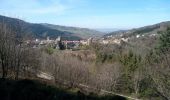 Tocht Stappen Le Bessat - Croix de Chaubouret - Photo 3