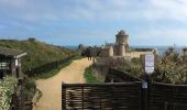 Tocht Stappen Plévenon - T. Cap Fréhel - Fort-la-Latte - Photo 1