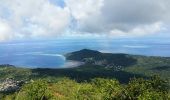 Randonnée Marche Kani-Kéli - Mayotte - 5 ème jour - descente du Mont Mlima Choungui - Photo 12